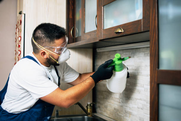 Best Residential Pest Control  in Coral Gables, FL