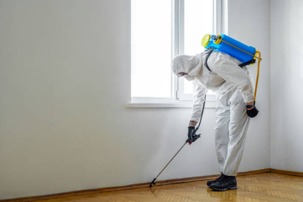 Best Affordable Pest Control Services  in Coral Gables, FL