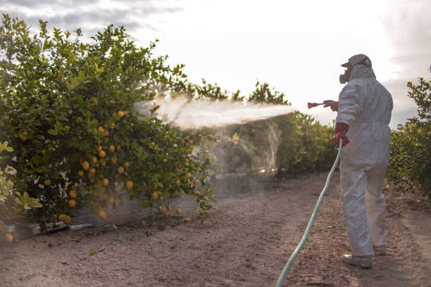 Best Residential Pest Control  in Coral Gables, FL