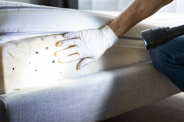 Best Best Pest Control Companies  in Coral Gables, FL