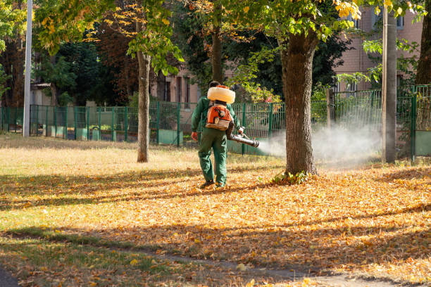 Trusted Coral Gables, FL Pest Control Experts