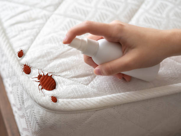 Pest Control Cost in Coral Gables, FL