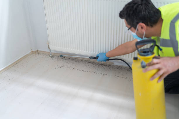 Best Pest Prevention Services  in Coral Gables, FL